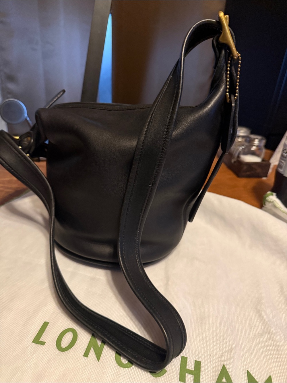 Coach Helen bag 9953 Leather Bucket Shoulder Bag with Brass Hardware